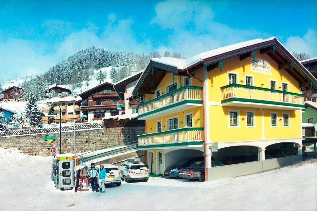 Apartment Schlosserhaus Wagrain